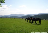 Pozemky Čenkovice - Buková hora a Suchý vrch