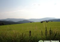 Pozemky Čenkovice pohled na Bukovou horu